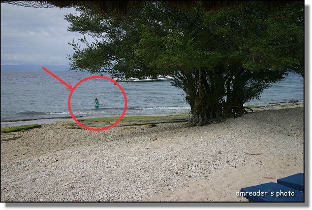 http://lh3.google.com.tw/dmreader8/R4XCRe9cUwI/AAAAAAAAD0o/2VNLCFoNC80/s800/IMG_5591.JPG