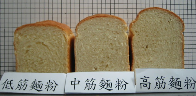 麵包實驗-不同筋性麵粉